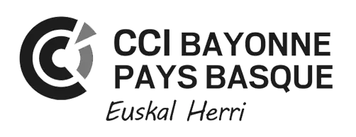 Logo CCI Pays BAsque